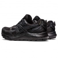 Кросівки для бігу жіночі Asics GEL-SONOMA 7 GTX Black/Carrier grey